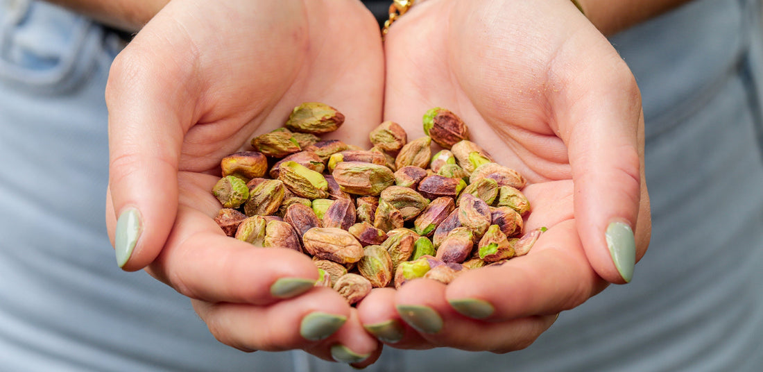 Pistache : histoire, origines et variétés du fruit vert La pistacherie
