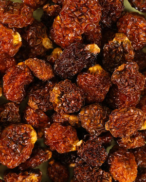 Baie de Physalis La pistacherie