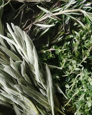 Pistache d'Iran Herbes de Provence Coque La pistacherie
